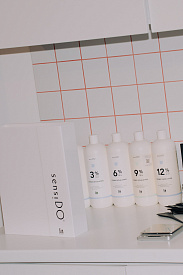 Окрашивания сезон весна/лето 2026